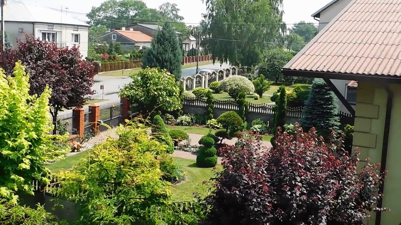 Pościg