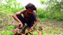 Primitive Technology - Find Goat in Forest - Grilled Goat eating delicious