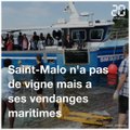 Saint-Malo: Les traditionnelles vendanges maritimes se sont tenues ce dimanche