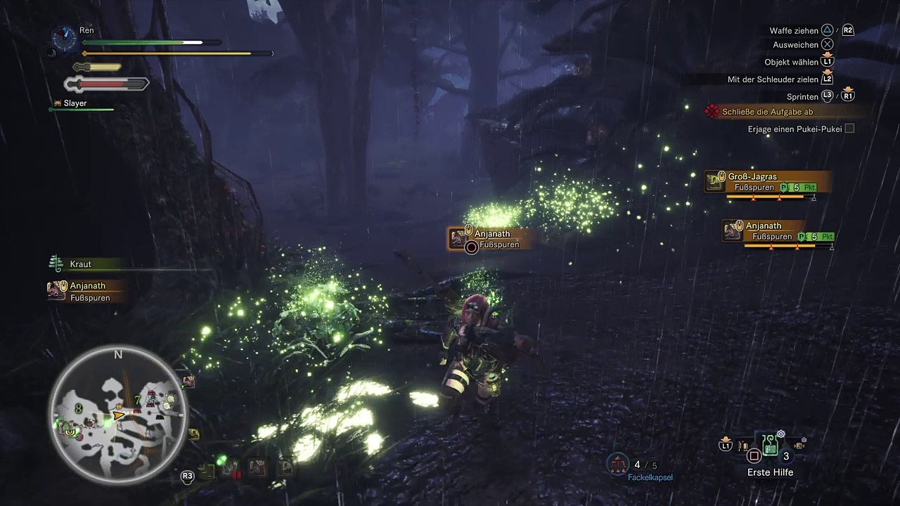 First LS run against Pukei-Pukei