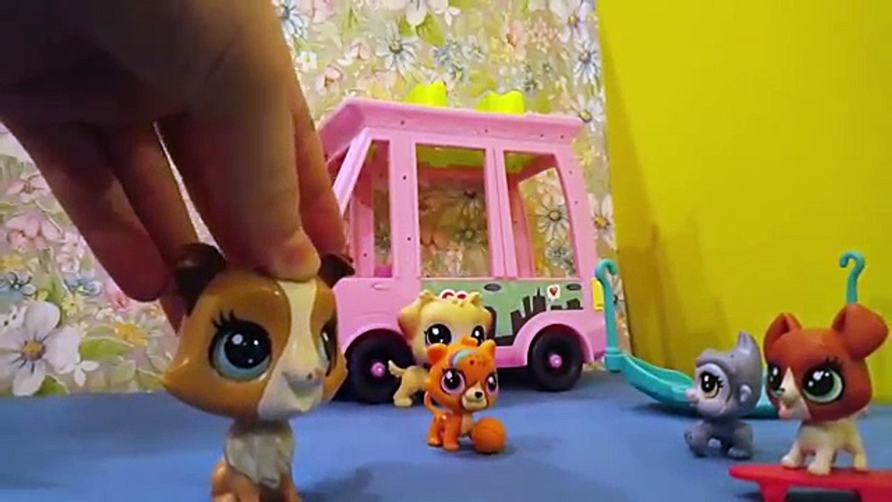 Minişler Araba Kazası!!! //Minişler Alemi Tv// lps Miniş videoları