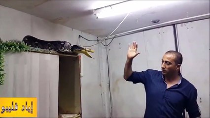 Il tente de capturer un serpent pas très sympa... Courageux