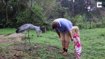 Cet oiseau mystérieux dit bonjours aux touristes