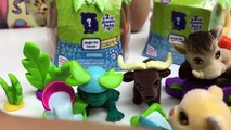 Jungle Animals in my Pocket Surprise Toys & Tree House Playset | Fun Pet Toys Review