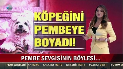 Bu Kadının Evinden Arabasına, Saçından Köpeğine Kadar Her Şeyi Pembe !