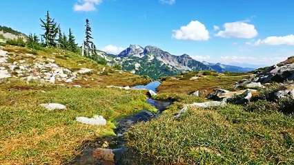 Mount Rainier National Park. Episode 2 - 4K Nature Documentary Film