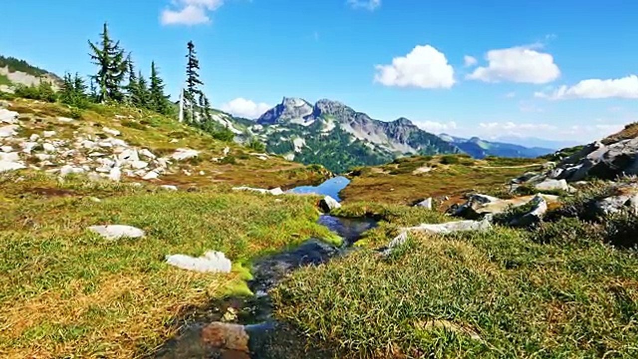 Mount Rainier National Park. Episode 2 - 4K Nature Documentary Film