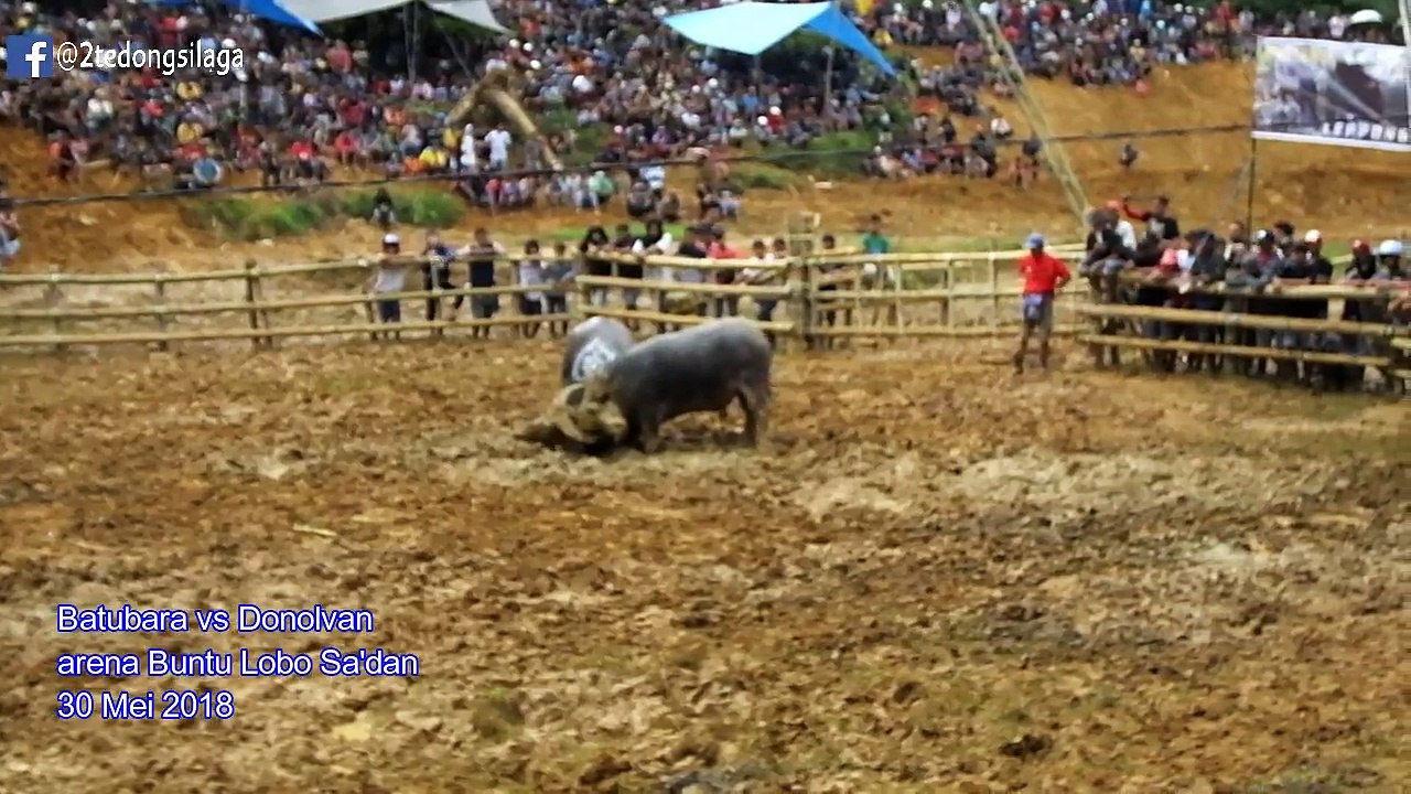 Batubara vs Donolvan