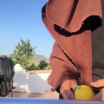 Homem se esconde para surpreender sua cadela que tem reação comovente