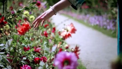 Khoshi Mahtab Gul Da Mohabat OFFICIAL VIDEO HD