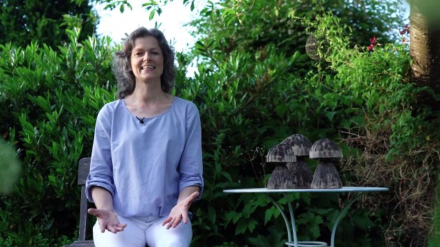 GARTENRUNDGANG in meinem DekoideenReich | Gartengestaltung | Tipps und Dekoideen | Garten im Sommer