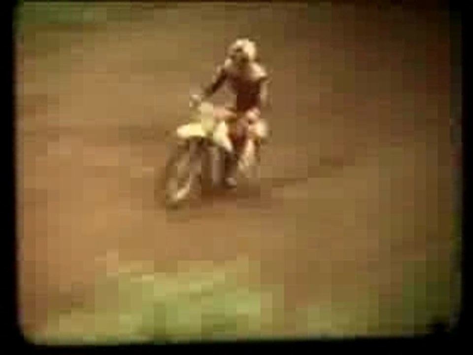[MOTOCROSS] Fox Greatest Hits - part1