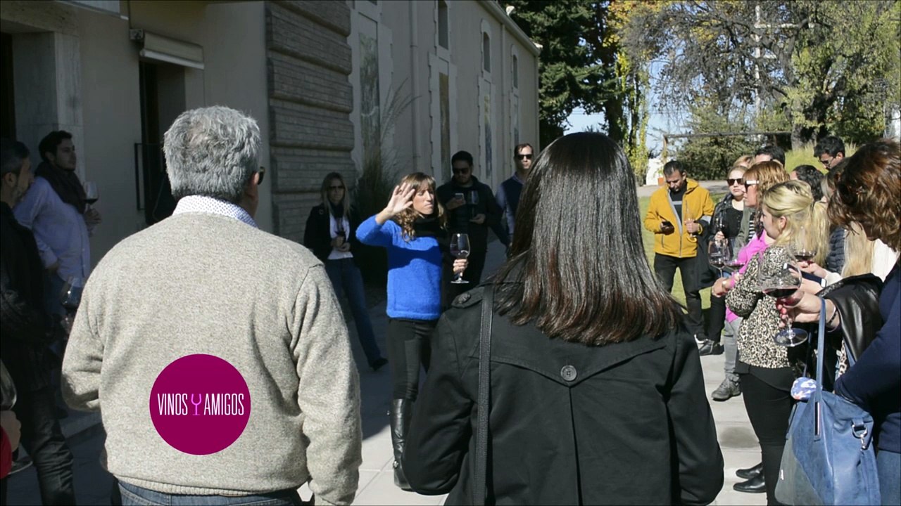 Vinos y Amigos Programa 196 Bloque 2