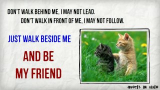 Quotes on Friendship Video