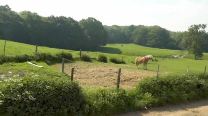La Ferme du Planois : Quand la ferme devient un lieu d'inclusion sociale - INSPIRE
