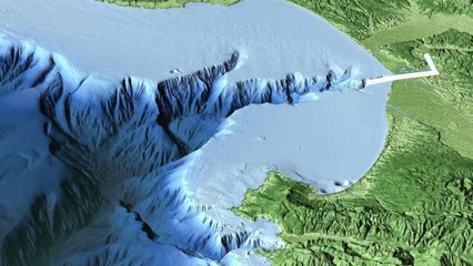 Top 10 Strangest Things That Happen Underwater