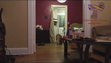 바카라사이트추천 바카라게임사이트 ＣARＤ328쩜 C0M ◀▶ 카지노게임