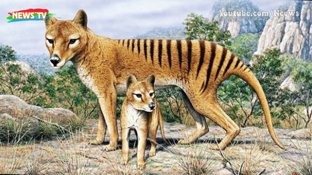 Top 10 loài động vật tuyệt vời nhất bị tuyệt chủng