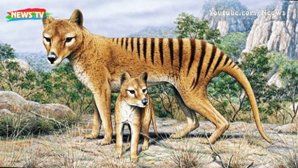 Top 10 loài động vật tuyệt vời nhất bị tuyệt chủng