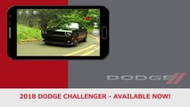 2018 Dodge Challenger Oswego IL | Dodge Challenger Dealer Oswego IL