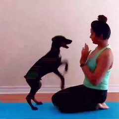 serial actress madhu Mila hot tight fit yoga