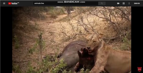 생중계사다리▷LIVE UWIN▷PE1002.COM◁별밤▷BYULBAM9.COM◁사다리픽스터▷별이빛나는밤에◁▷생중계사다리▷PE1002.COM◁달밤◁사다리사이트▷생중계사다리◁룰렛배틀◁사다리본사▷순위◁사다리대화방▷생중계사다리◁사다리노하우◁사다리분석글◁사다리하는법▷생중계사다리◁바두기채팅방◁사다리배우기▷맞집◁사다리배팅▷생중계사다리◁사다리홍보◁사다리토픽◁사다리광고▷생중계사다리◁경륜노하우◁사다리동호회▷동영상◁사다리닷컴▷생중계사다리◁사다리이쁜곳◁사다리채널◁사다리분석글