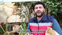 In war-torn Syria, 'cat man' starts rare animal clinic