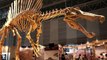 10 Prehistoric Animals Were GLAD Are Extinct