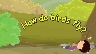 How do Birds Fly for Children