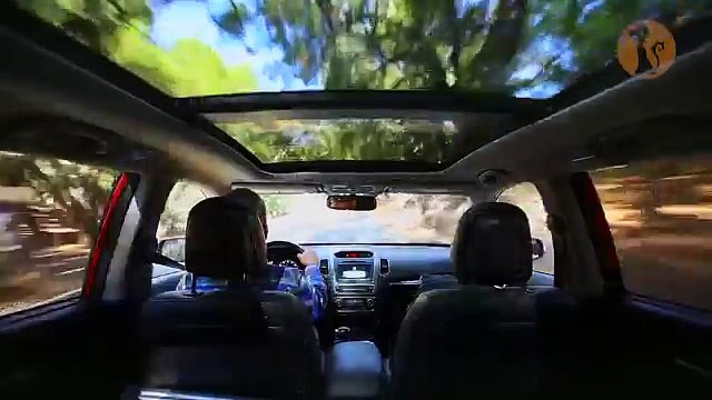 Марки автомобилей (марки машин) для детей от 1-3 лет