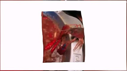 Cooked Crayfish escape from dinner plate in china...!!!!!Amazing Live footage...!!!