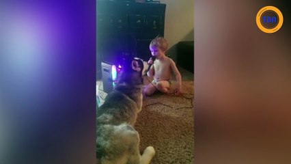 Un adorable karaoké entre un husky et un bébé