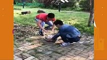 China and japanese mix funny video kwai must watch - YouTube
