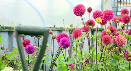 A1 Britain  Longest Road S02  E01 E 1 - Part 01