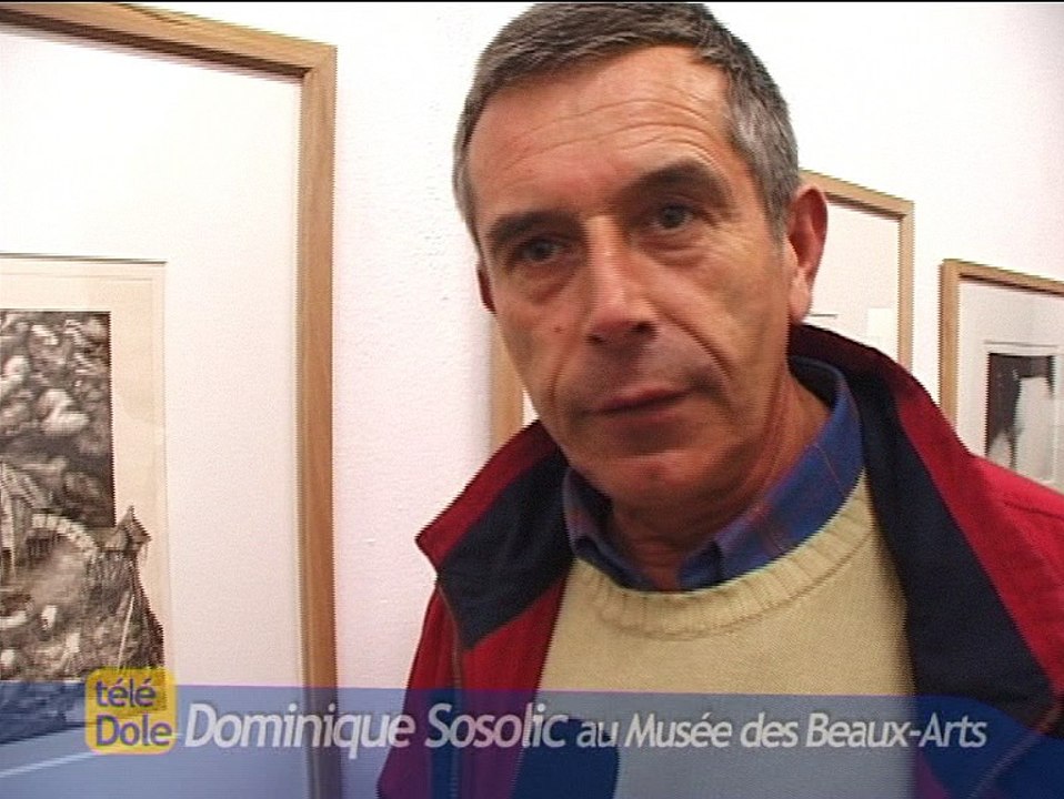 Sosolic au Musee des Beaux-Arts de Dole