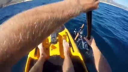 Keys Kayak Fishing - That Escalated Quickly