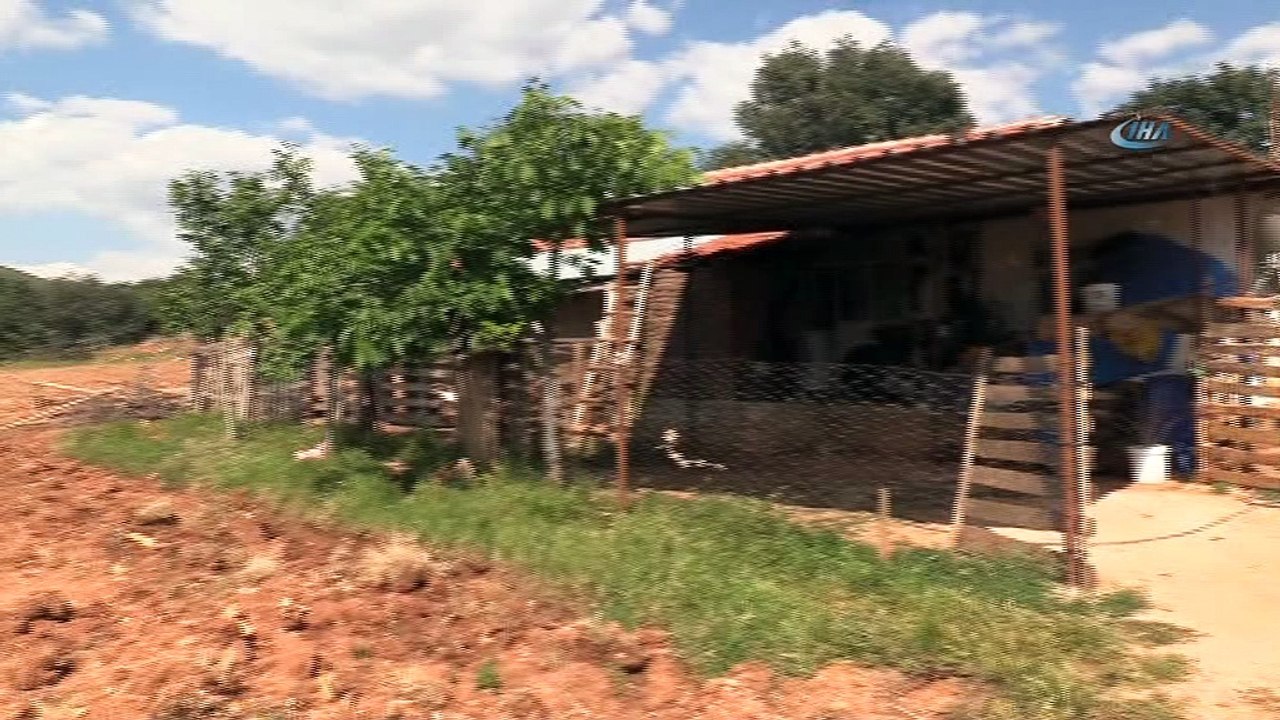 - Taşçı ailesi, kendilerine uzanacak yardım eli bekliyor- Yerleşim yeri dışında yıkılmak üzere olan evde yaşam savaşı veriyorlar