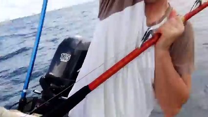 Monster Goliath Groupers with NFL Linebacker Sam Barrington - 4K