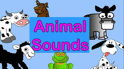 The Animal Sounds and Interive Game