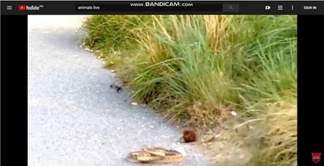 인터넷슬롯▷Ж▷PE1001.COM◁Ж◁야마토추천인