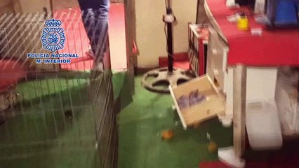 La Línea de la Concepción OPERACIÓN antidroga de la Policía Nacional en Las Palomeras