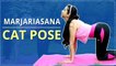 How To Do CAT POSE | Step By Step Marjariasana | Yoga For BEGINNERS | Simple Yoga Lessons