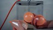 What Happens When You Put Water Balloons In a Vacuum Chamber? Will They Boil or Expand?