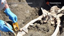Arkeologis temukan kerangka pria Pompeii yang terhimpit batu - TomoNews