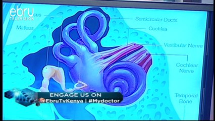 Types Of Hearing Loss