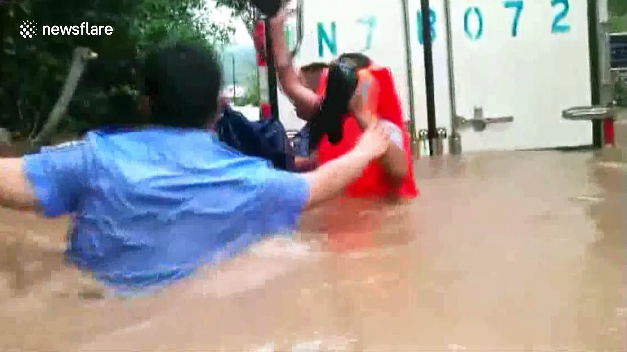 Runaway ostrich hampers police rescue of passengers in flooded lorry
