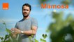 MiiMOSA - Start-up Stories Saison 2