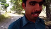 Tubewell Diesel Engine Water Pump In Punjab _ Agriculture In Pakistan