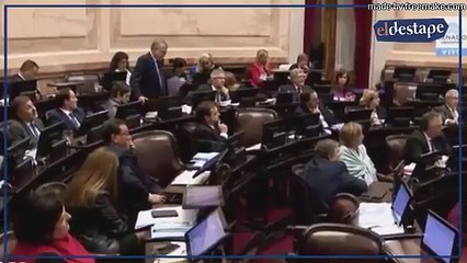 La pregunta de Pino Solanas que descolocó a Michetti en el Senado