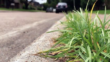 Woman Accused of Killing Her Husband Because He Beat Their Cat